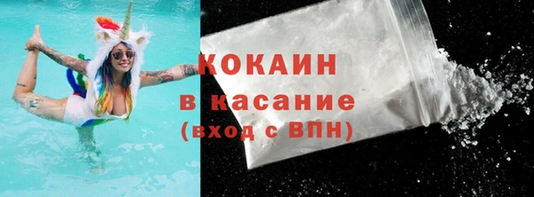 ПСИЛОЦИБИНОВЫЕ ГРИБЫ Богданович