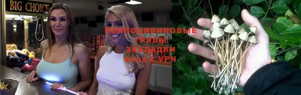 хмурый Богородицк