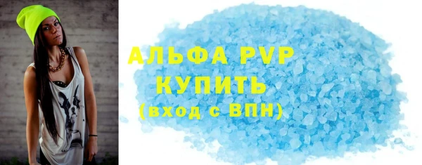 ПСИЛОЦИБИНОВЫЕ ГРИБЫ Богданович