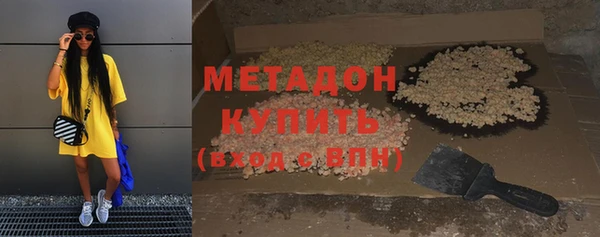 ПСИЛОЦИБИНОВЫЕ ГРИБЫ Богданович
