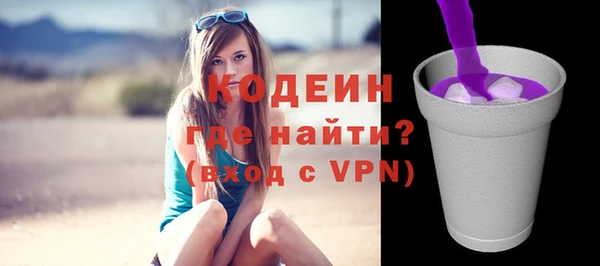 хмурый Богородицк