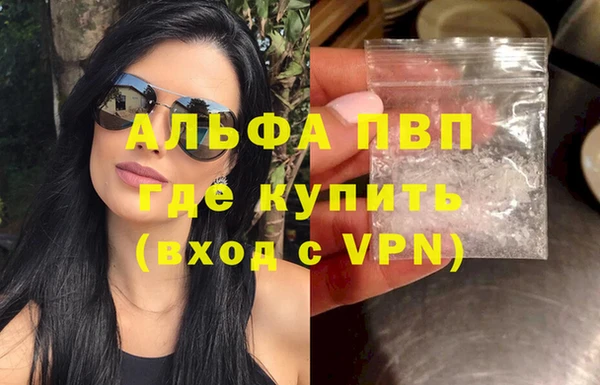 ПСИЛОЦИБИНОВЫЕ ГРИБЫ Богданович