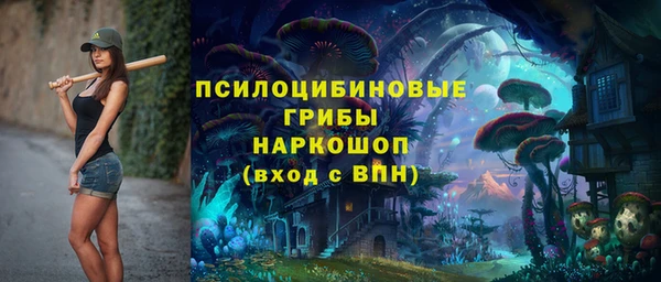 ПСИЛОЦИБИНОВЫЕ ГРИБЫ Богданович