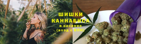 ПСИЛОЦИБИНОВЫЕ ГРИБЫ Богданович
