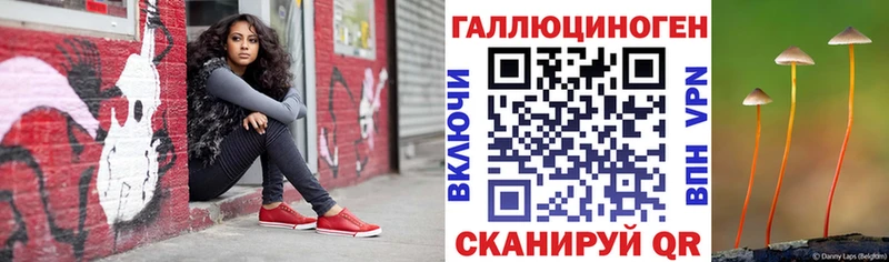Псилоцибиновые грибы мицелий Берёзовский