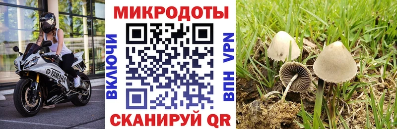 Галлюциногенные грибы Psilocybine cubensis  Купить закладки  Берёзовский 